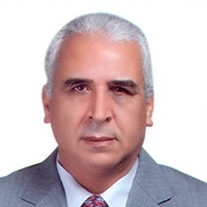 Mohamed M.Sayed
